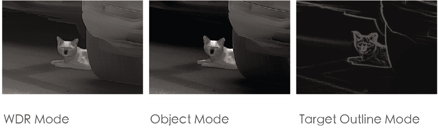 Various Image Display Modes 3x