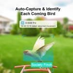 N1 2K Smart Bird Feeder Camera