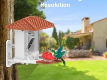 N1 2K Smart Bird Feeder Camera
