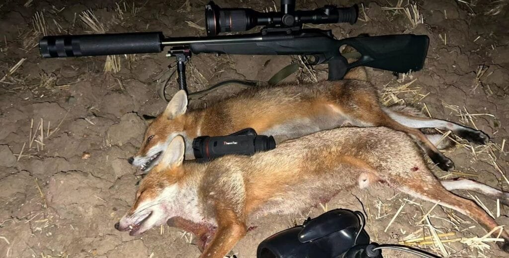 Mastering Night Hunts: Precision with the Thermtec Wild 650L Thermal Scope