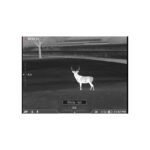 DNT TNC635R Thermal Night Vision Multispectral Scope