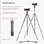 Sunwayfoto T2840CE+EB-44