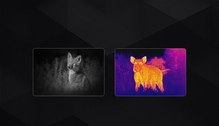 PARD Osprey 4K Multispectral Binoculars