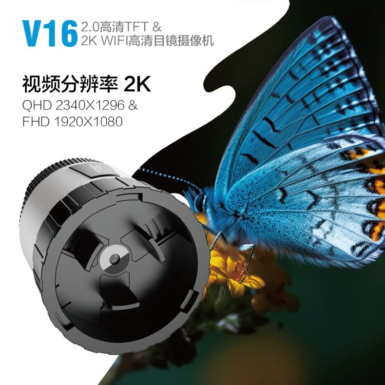 V16