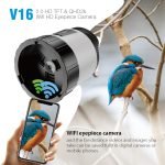 V16